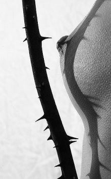 3a13233f1a2c9d033f827643f2596f8b